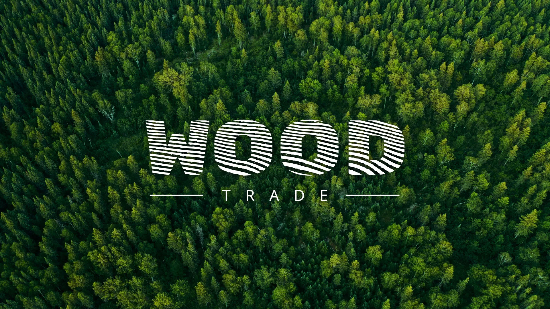 Разработка интернет-магазина компании «Wood Trade» в Муроме